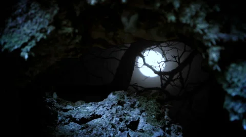 Moonrise through rocks and branches Stock Footage 47450390