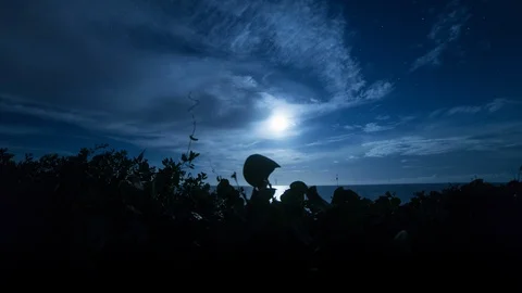 Moonrise time lapse hyperlapse over the beach and ocean in Rincon, Puerto Rico Vídeos de archivo 96114745