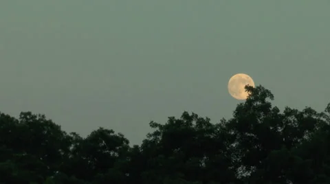 Moonrise.mp4 Video stock 30243913