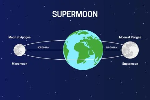 Moon's Orbit Around the Earth with Supermoon and Micromoon and Apogee and P.. Ilustração Stock
