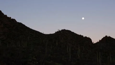 Moonset at Sunrise in a Cactus Valley - Timelapse/Hyperlapse Video stock 147904486