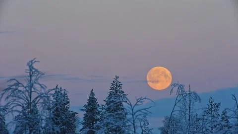 Moonset in Swedish winter Stock Footage 150744553