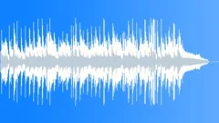 Moonshine Blues 30 SEC NO LEAD Stock Music
