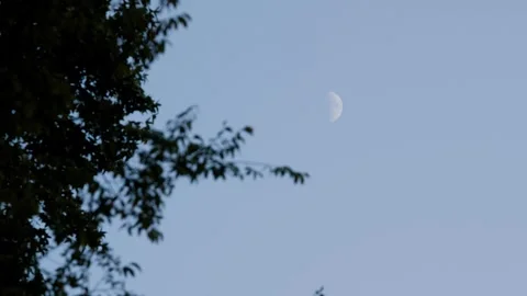 MoonTimelapse-02-4k Stock Footage 249010382