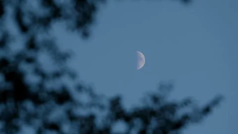 MoonTimelaspe-04-4k Stock Footage 249010385