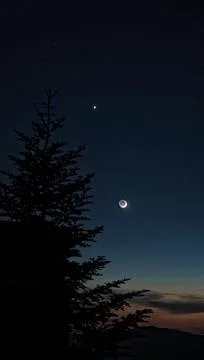 Moon&amp;Tree Stock Photos