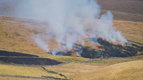 Moor on fire Video stock 316025910