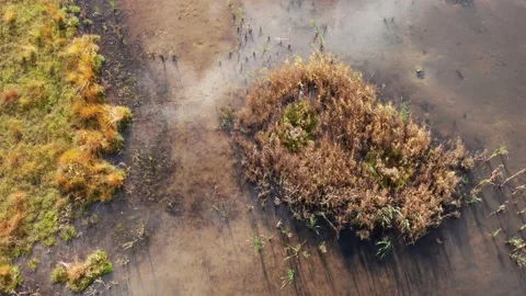 A moor landscape from above Stock-Footage 148418825