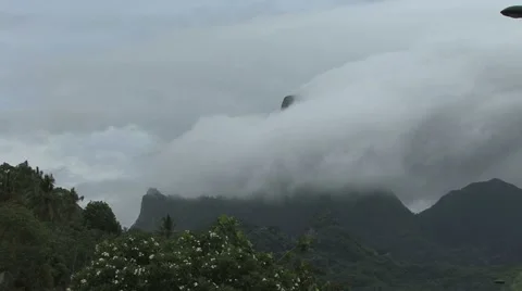 Moorea clouds with bird Stock Footage 5503020