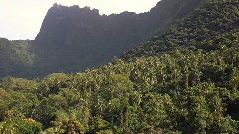 Moorea Rainforest Peaks Stock Footage 114022953