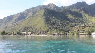 Moorea Shoreline Stock Footage 85568081