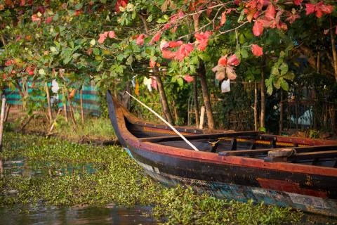 Moored boat Stock Photos