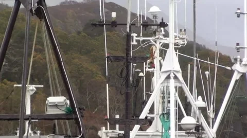 Moored Boats Stock Footage 44191933