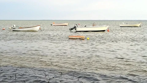 Moored boats Stock Footage 90245843