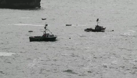 Moored boats01 Stock Footage 10748103