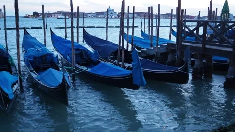 Moored Gondolas in Venice at Dusk Stock Footage 341772219