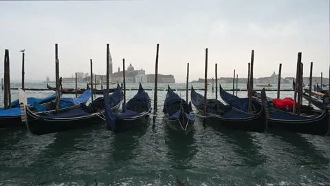 Moored  Gondolas Video Stock Footage 238658829