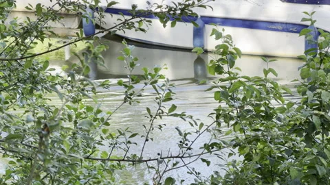 Moored vessel viewed through bushes 4K Vídeos de archivo 335774964