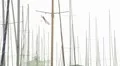 Moored yacht at port HD Footage