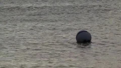 Mooring buoys Stock Footage 47716977