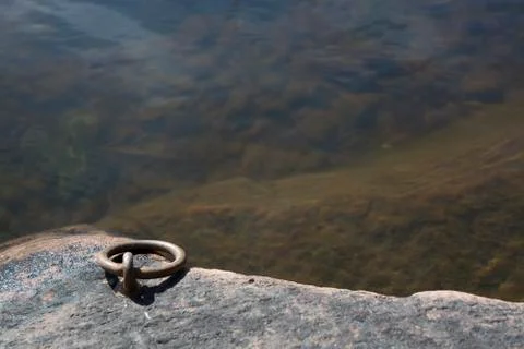Mooring link by lake Stock Photos
