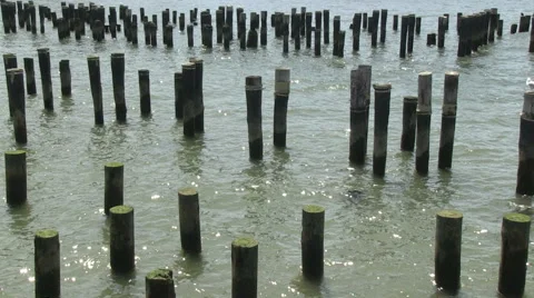 Mooring poles Stock Footage 40499103