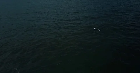 Mooringsfrom above Stock Footage 75420271