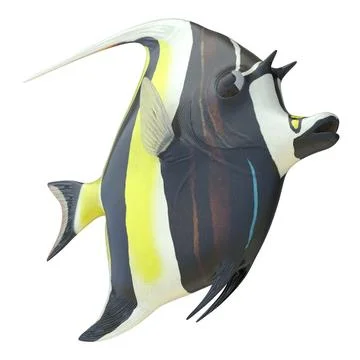 Moorish Idol Fish Rigged for Cinema 4D ~ 3D Model #91028902