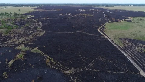 Moorland after a wildfire Video stock 92744707