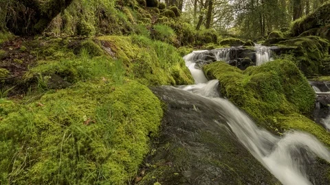 Moorland Stream Stock Footage 108552977