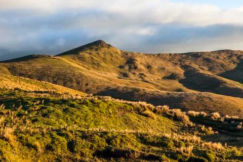 Moors of the Andes Stock Photos