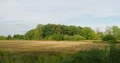 Moory cultivated grassland nature reserve at sunny day 4k or 4k+ Resolution