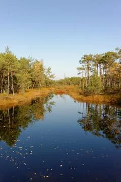 Moory landscape with bog-pool Stock Photos