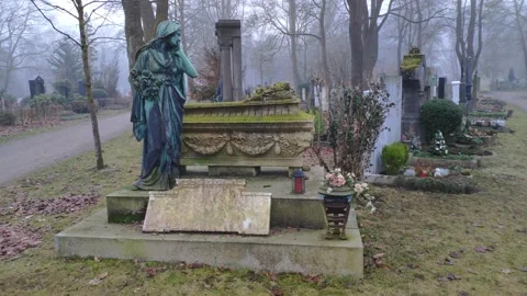 Moos-covered stone coffin-shaped grave 動画素材 168530279