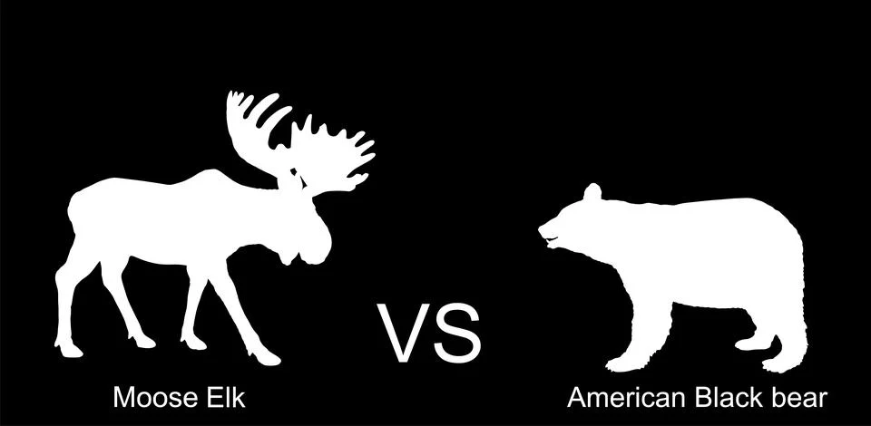 Moose against bear vector silhouette illustration isolated イラスト素材