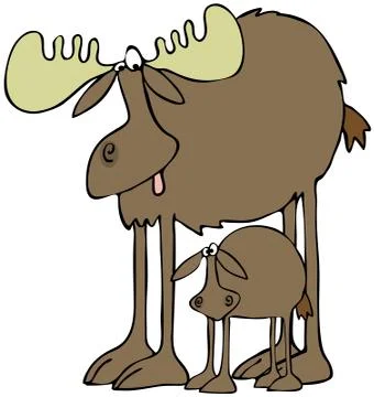 Moose and calf Stock Illustration
