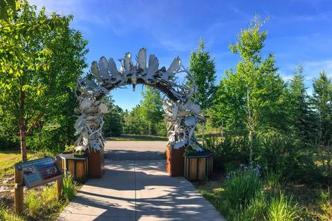 Moose Antler Arch Stock Photos