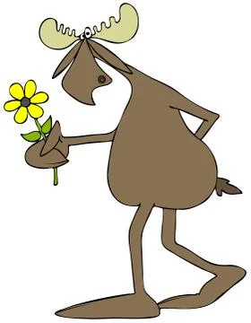 Moose with a daisy Stock Illustration