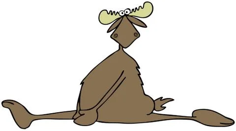 Moose doing the splits Stock Illustration