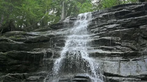 Moose Falls: Slow Motion Waterfall in Lush Forest - Revelstoke Stock Footage 345178881