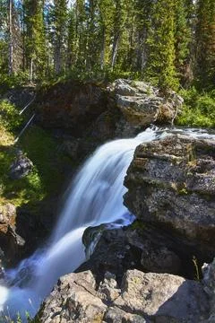 Moose Falls Waterfall Flowing Over Rocky Ledge in Lush Yellowstone Forest Fotos Stock