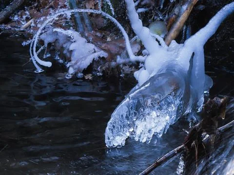Moose head like ice formation on a stream Moose Head Hesse Germany Europe Foto stock