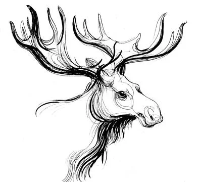 Moose head Stock-Illustration