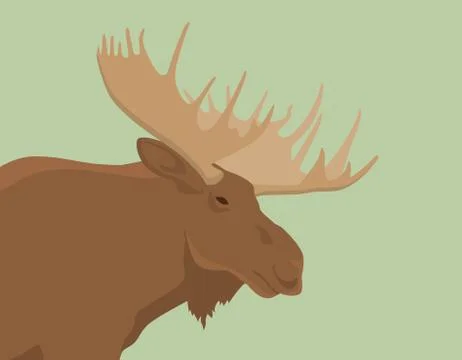 Moose head live view from side vector illustration Stock Illustration