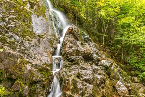 Moose horn trail fall Stock Photos