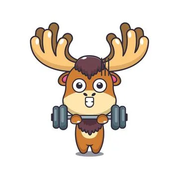 Moose lifting barbell cartoon vector illustration. Stock Illustration