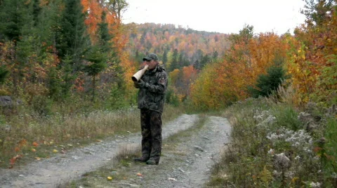 Moose megaphone Stock Footage 273302