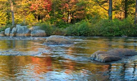 Moose River Autumn 스톡 사진