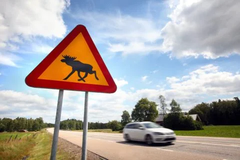 Moose sign Stock Photos