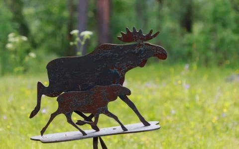 Moose sign Stock Photos